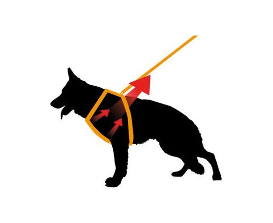 Ferplast Szelki Ergocomfort - Niebieskie L Citas preces