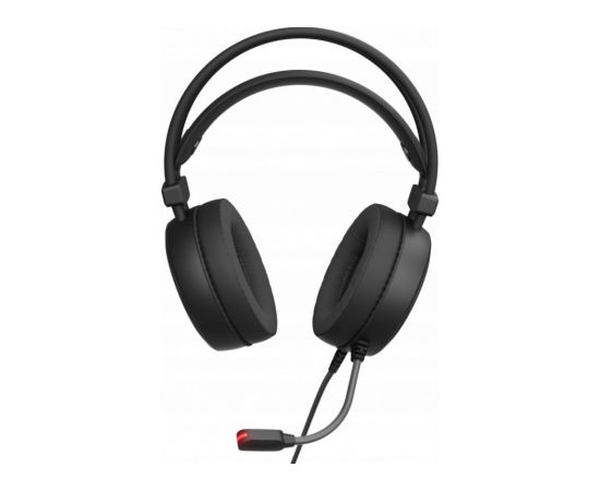 Genesis Neon 613 G2 Vadu Austiņas Austiņas