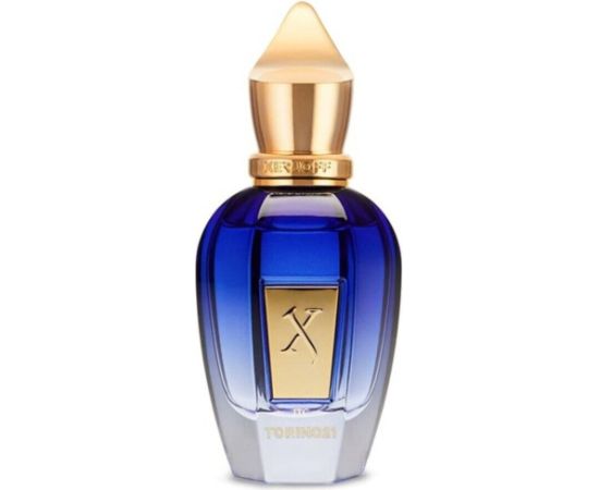 Xerjoff Torino 21 Eau de Parfum 100ml CC Духи унисекс
