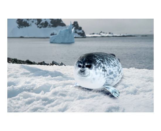 Gotel B48Z PLUSZOWA FOKA PLUSZAK PODUSZKA 60CM Mīkstās rotaļlietas