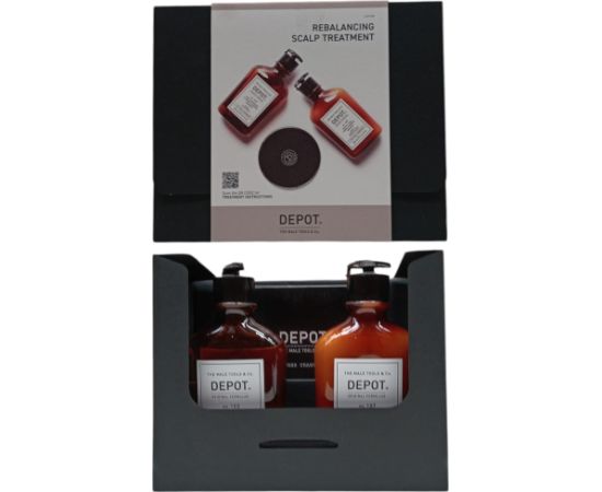 Consumer Kit A Set Depot: 100 Hair Cleansing No. 102 Botanical Complex Hair Shampoo Anti-Dandruff & Sebum Control 250ml + 100 Hair Cleansing No. 107 Kaolin Hair Shampoo For Regulation Of Excessive Sebum 250ml Matu kopšana