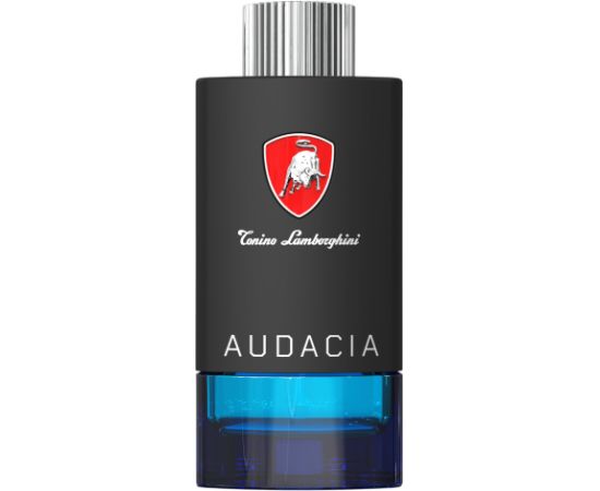 Tonino Lamborghini, Techno Audacia, Eau De Toilette, For Men, 100 ml Духи и косметика