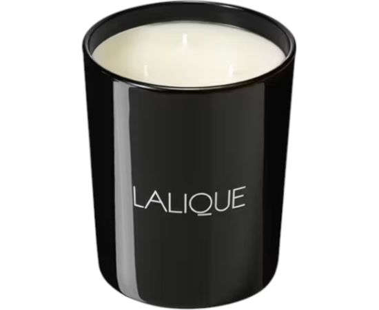 Lalique, Santal Goa-Inde, Scented Candle, 600 g Telpu aromāti