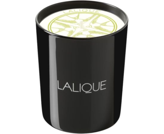 Lalique, Osmanthus Himalaya Nepal, Osmanthus, Scented Candle, 190 g Telpu aromāti