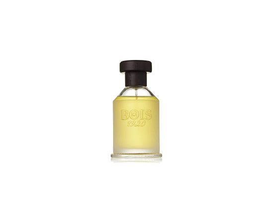 Bois 1920, Vetiver Ambrato, Eau De Toilette, Unisex, 100 ml Smaržas - NESAKĀRTOTS