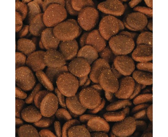 Orijen ORIJEN 6 Fish Cat 340g Сухой корм для кошек