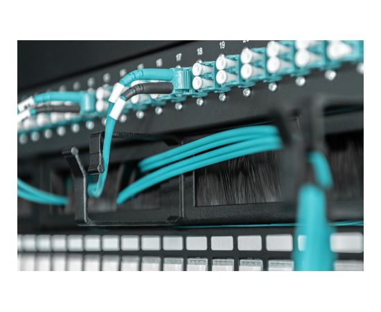 Digitus Cable Management Panel with Brush Entries for 483 mm (19") Cabinets, 1U DN-97663 Серверы и компоненты серверов