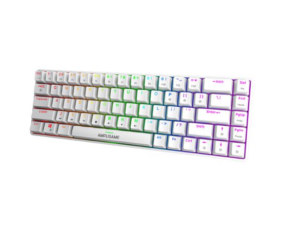 Fifine GK1W mechancial keyboard, 65% RGB (white) Klaviatūras