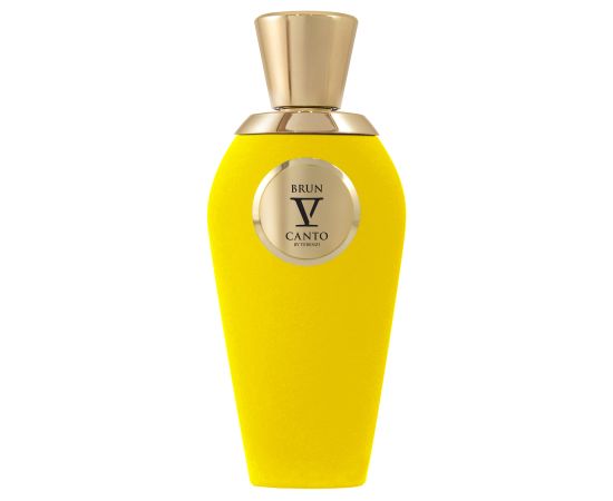 V Canto, Brun, Extrait De Parfum, Unisex, 100 ml Smaržas - NESAKĀRTOTS