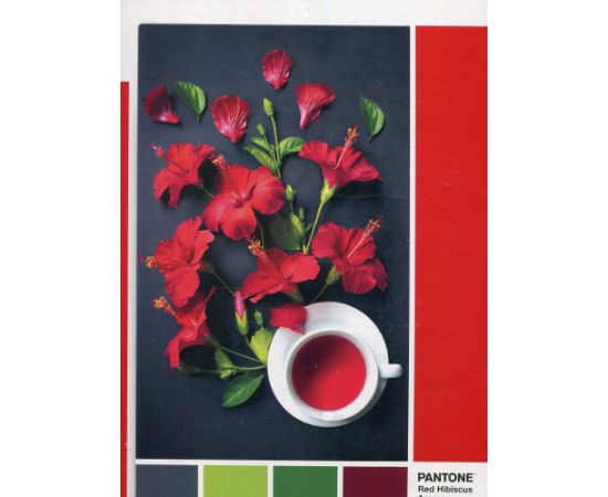 Clementoni, Pantone, Goji Berry, Puzzle, Unisex, 1000 pcs Puzles