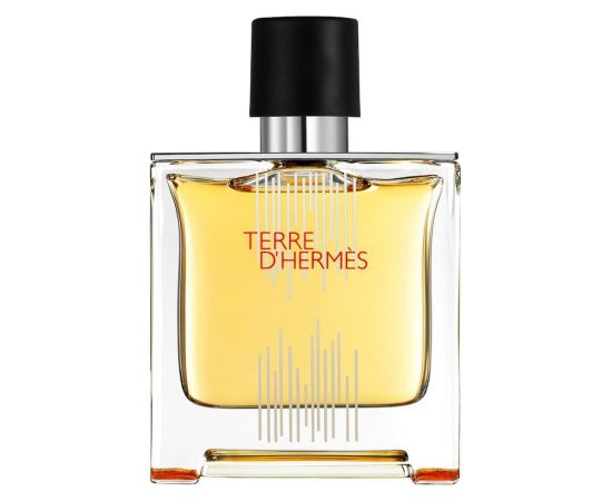 Hermes, Terre d'Hermes Flacon H 2021, Parfum, For Men, 75 ml Smaržas - NESAKĀRTOTS