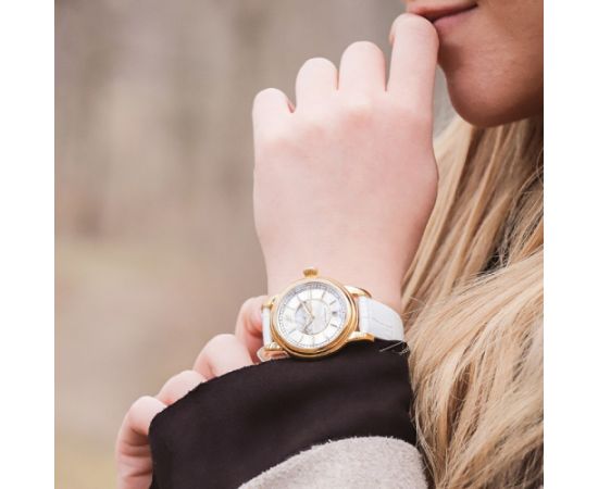 AVIATOR Douglas Moonflight V.1.33.1.343.4 Наручные часы