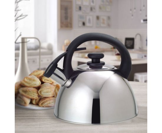 Maestro MR-1302 kettle 2.5 L Stainless steel Чайники (со свистком)