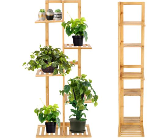 Koka puķu dobe Springos GA0199 Plaukti  