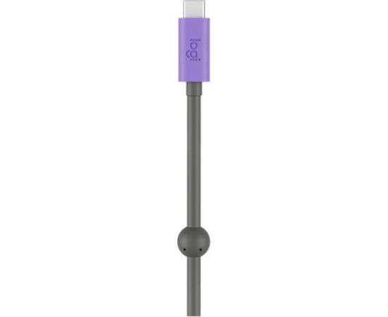 LOGITECH EXTEND - BLACK - USB - PLUGCG - EMEA29-953 WEB Kameras