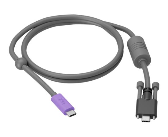 LOGITECH EXTEND - BLACK - USB - PLUGCG - EMEA29-953 WEB Kameras