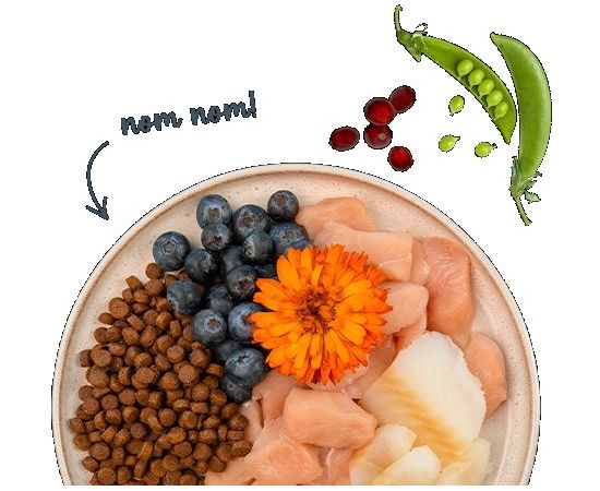 BOSCH Sanabelle Adult Pstrąg 2kg Kaķu sausā barība