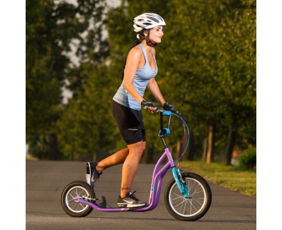 inSPORTline Suter SE skrejritenis ar piepūšamiem riteņiem (līdz 100 kg) - melns Велосипеды