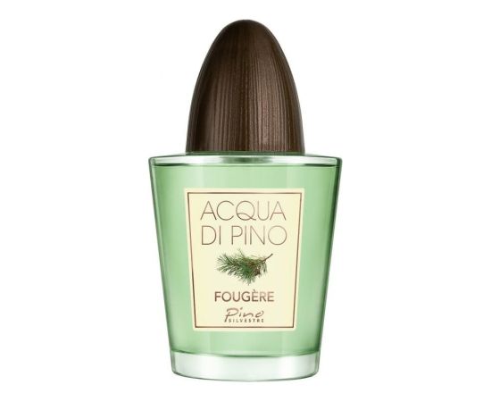 Pino Silvestre, Acqua Di Pino Fougere, Eau De Toilette, For Men, 125 ml Духи и косметика