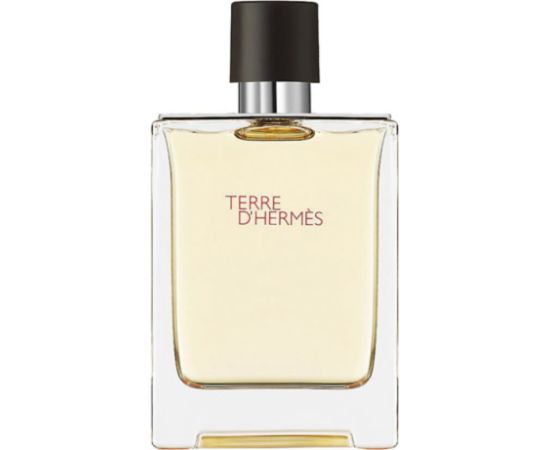 Hermes, Terre d'Hermes, Eau De Toilette, For Men, 100 ml *Tester Smaržas - NESAKĀRTOTS