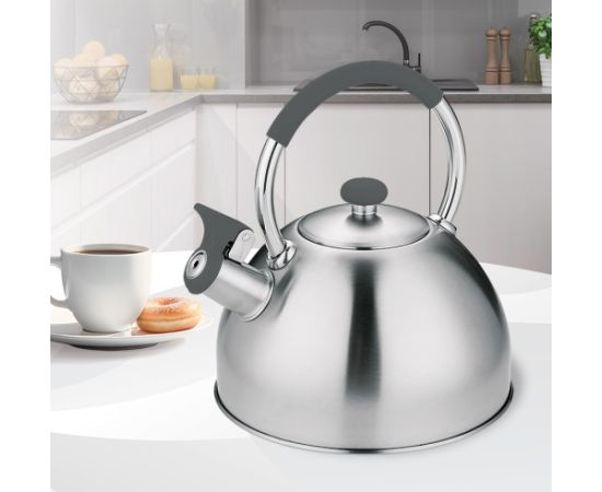 Kettle MAESTRO MR-1323 stainless steel 2.5 l Чайники (со свистком)