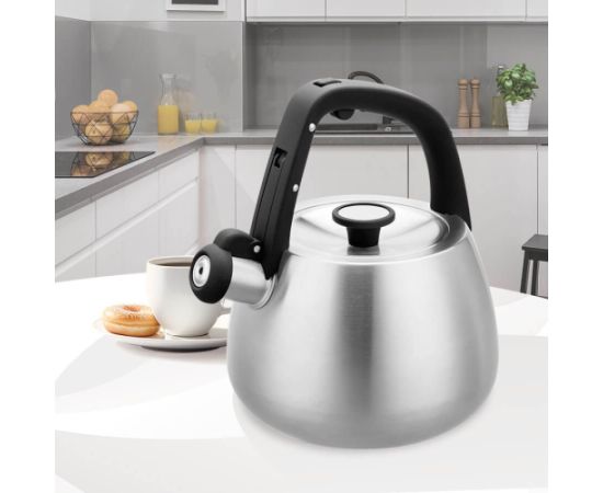 Kettle Maestro MR-1318 2,5 l Silver, Black Чайники (со свистком)