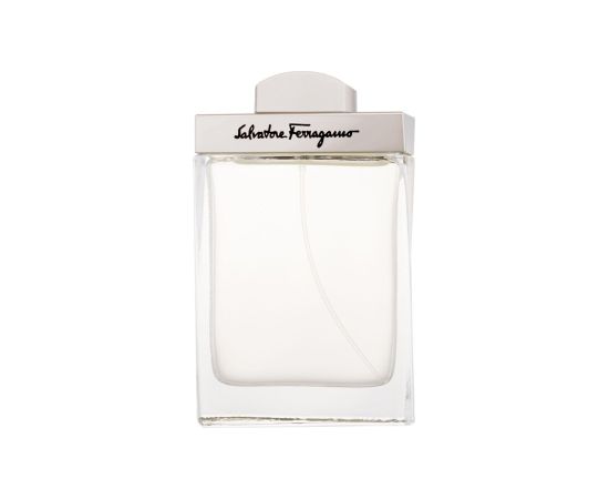 Ferragamo Pour Homme 100ml Мужская парфюмерия