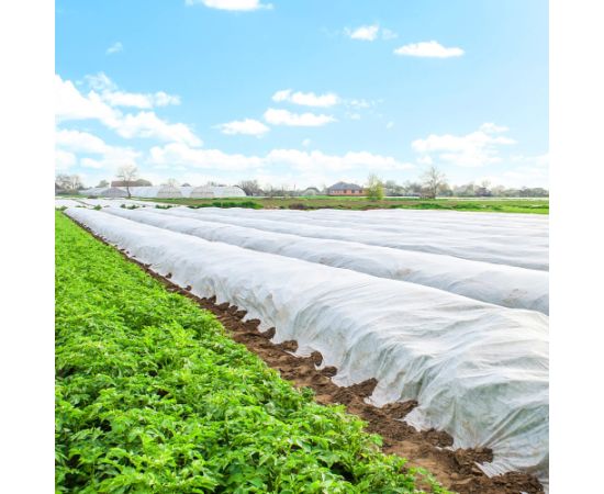 Зимний агротекстиль Springos AG0015 17г/м2 5х1,6м белый Теплицы