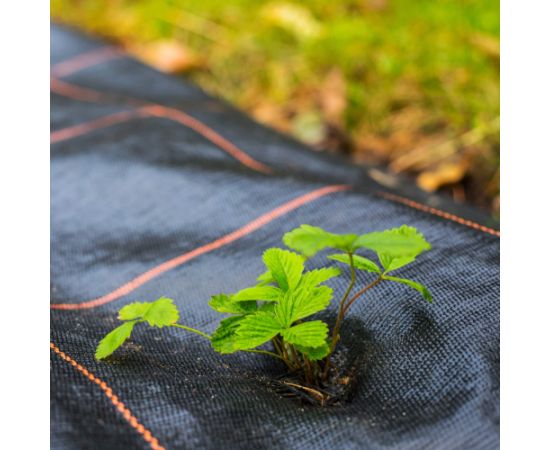 Агротекстиль против сорняков Springos AG0028 70г/м2 0,8х50м Теплицы