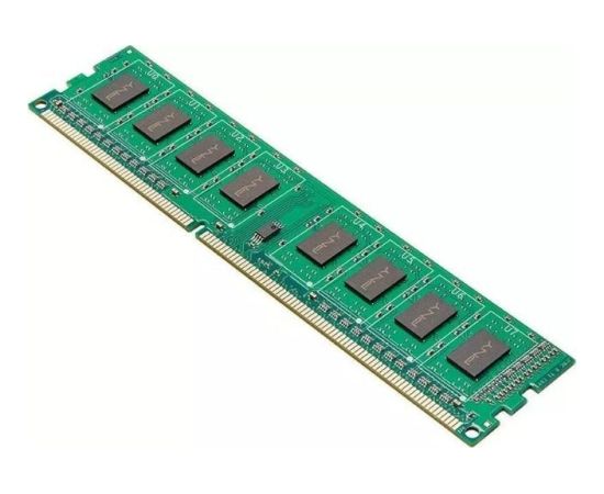 Pny Technologies Pamięć PNY DDR3 8GB 1600MHz CL11 Оперативная память (RAM)
