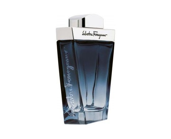 SALVATORE FERRAGAMO Subtil EDT 100ml