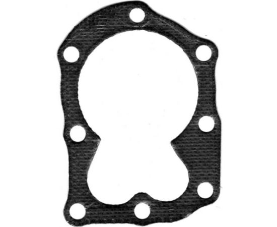 Head gasket Briggs & Stratton Classic/Sprint 698717, Nevada Piederumi dārza tehnikai