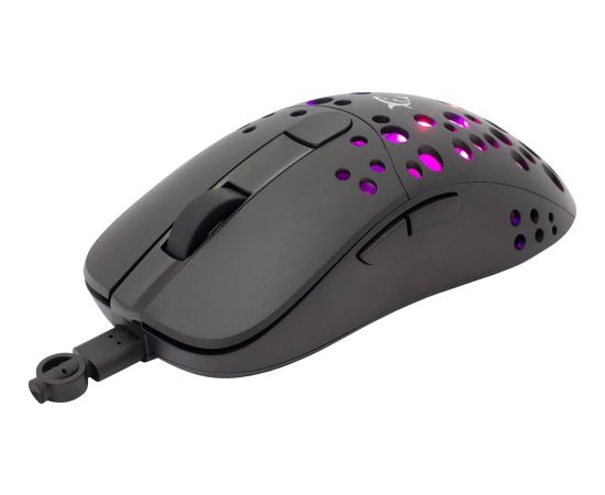 White Shark GM-9004 Tristan Peles, ievadierīces