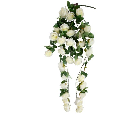  Jaunumi, mēbeles, māja