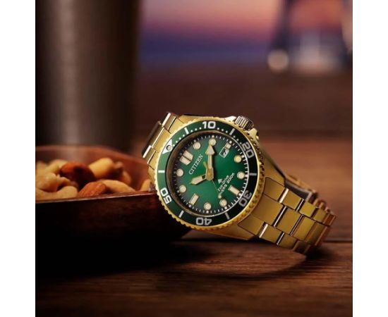 Citizen Promaster Marine Eco-Drive BN0262-59W Rokas pulksteņi 