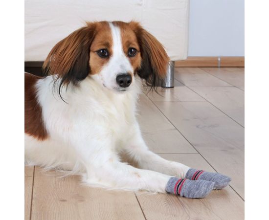 Trixie SKARPETKI DLA PSA ANTYPOŚLIZGOWE 2 szt. L–XL Citas preces