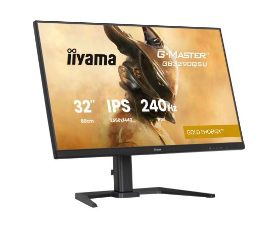 iiyama G-Master GB3290QSU-B1 Gold Phoenix - 240Hz | QHD | IPS | 31.5" LED / LCD мониторы