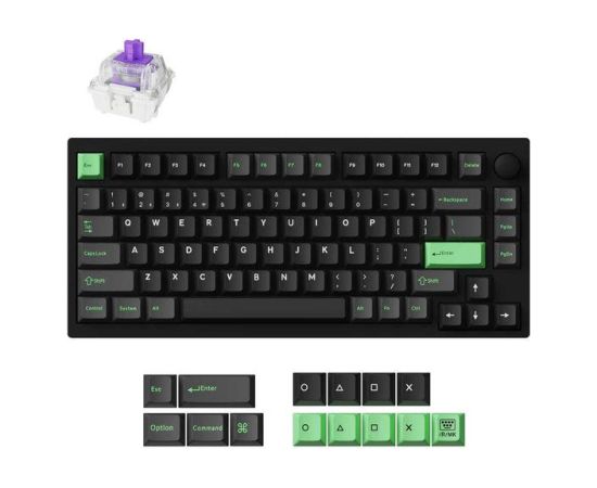 KEYBOARD WRL P1 HE RGB/BLACK P1H-M1Z KEYCHRON Klaviatūras