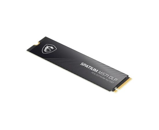 SSD MSI 1400xTBW rating MTBF 1500000 h Read speed 14500 MB/s Write speed 11000 MB/s NVMe Yes PCI Express 5.0 M.2 2000 GB SPATIUM M571 DLP PCIe 5.0 NVMe M.2 S78-440Q1K0-P83 SSD Cietie Diski (Solid state drive)
