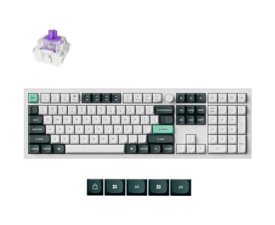 KEYBOARD WRL Q6 HE RGB/SHELL WHITE Q6H-P1 KEYCHRON Klaviatūras