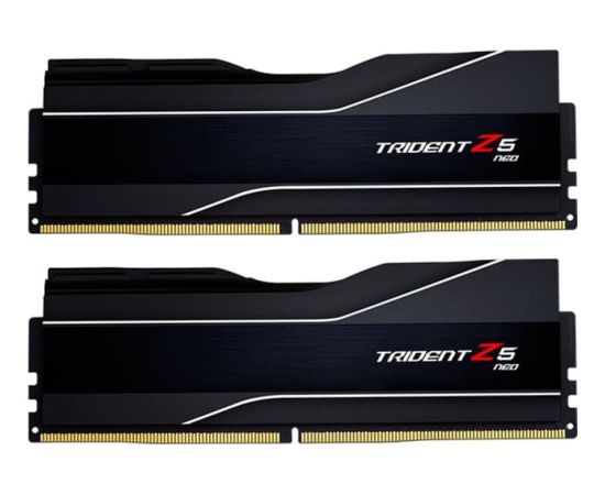 G.Skill DDR5 - 32GB - 5600 - CL - 28 - Dual Kit, RAM (F5-5600J2834F16GX2-TZ5N, Trident Z NEO) RAM Operatīvā atmiņa
