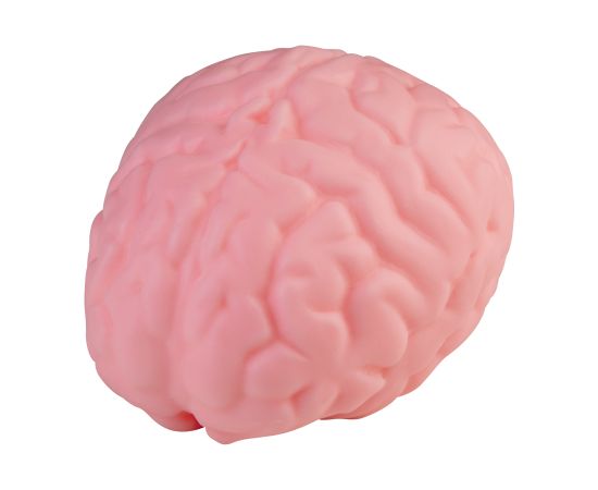 ORB Антистрессовая игрушка Мозг Новости - Детские товары