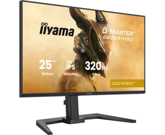 Iiyama G-MASTER GB2591HSU-B1 (68.6 cm (24.5 inches), black (matt), FullHD, Fast-IPS, HDMI, DP, USB hub, 320Hz panel) LED / LCD мониторы