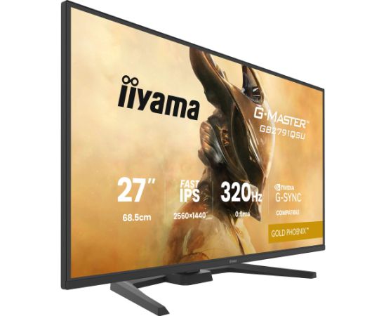 Iiyama G-MASTER GB2791QSU-B1 (68.5 cm (27 inches), black (matt), QHD, Fast-IPS, HDMI, DP, USB hub, 320Hz panel) Monitori