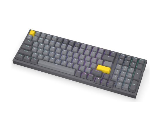 Celeris 1800 (gray, US layout, ENDORFY Yellow by Gateron) Klaviatūras