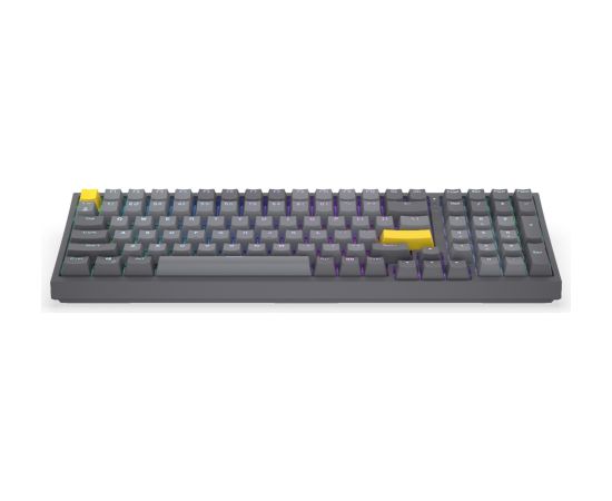 Celeris 1800 (gray, US layout, ENDORFY Yellow by Gateron) Klaviatūras