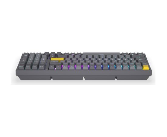Celeris 1800 (gray, US layout, ENDORFY Yellow by Gateron) Klaviatūras
