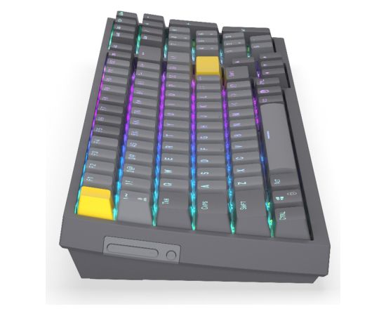 Celeris 1800 (gray, US layout, ENDORFY Yellow by Gateron) Klaviatūras