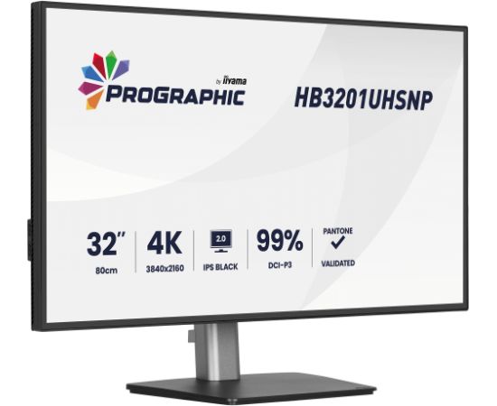 iiyama ProGraphic HB3201UHSNP-B1, LED monitor - 31.5 - black (matt), UltraHD/4K, IPS, HDMI, DP, USB-C, USB hub Monitori