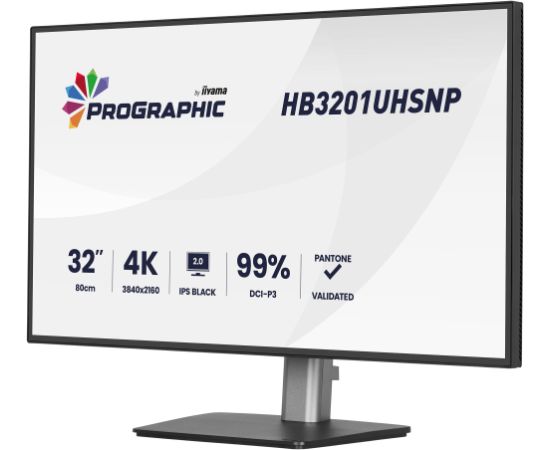 iiyama ProGraphic HB3201UHSNP-B1, LED monitor - 31.5 - black (matt), UltraHD/4K, IPS, HDMI, DP, USB-C, USB hub Monitori